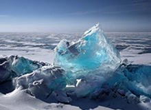 莫兰特复出献两双杰克逊24分5封盖 灰熊大胜雄鹿