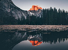 莫兰特复出献两双杰克逊24分5封盖 灰熊大胜雄鹿